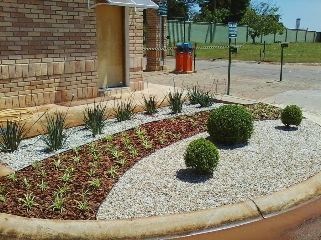 materia de capa, como usar casca de pinos em plantas, flores e jardins