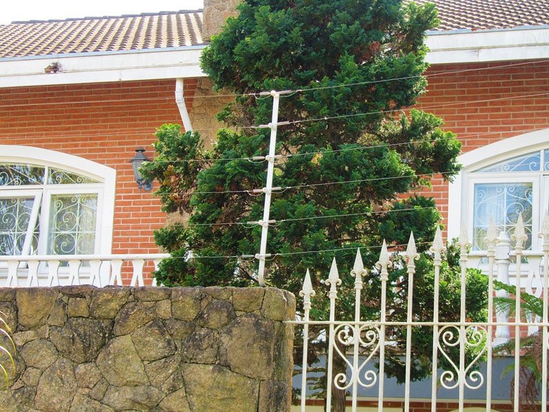 cerca eletrificada enconstando na vegetação arvores plantas, cerca eletrica dispara sozinha