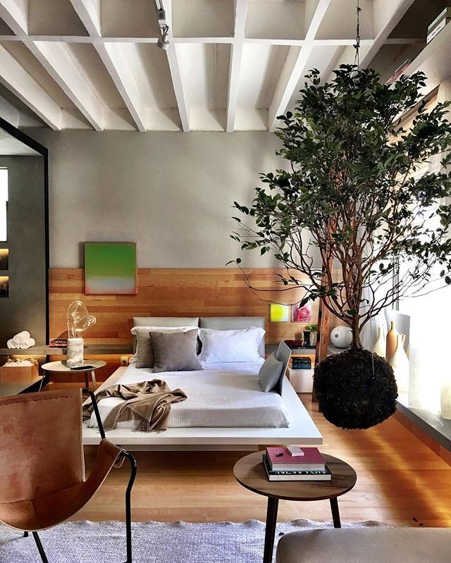 oque e kokedama, como fazer kokedama