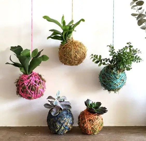aprenda a fazer kokedama e decorar sua casa